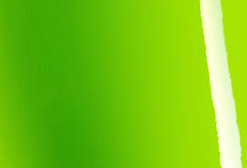 Green Vinyl Wrap Watches